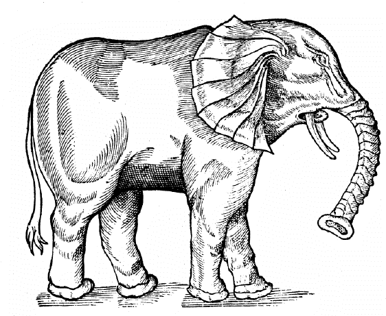Parey's Elephant