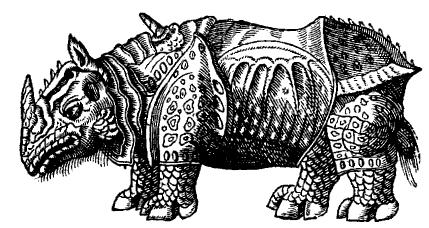 Parey's Rhinoceros