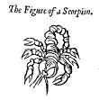 Worm 1: a scorpion
