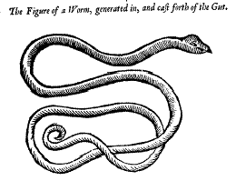 Worm 5: a worm from the gut