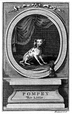 Portrait of Pompey the Little, a Lap-Dog